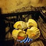 דירה Zelena Oaza Novigrad Istria