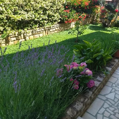 Zelena Oaza Appartement Novigrad Istria