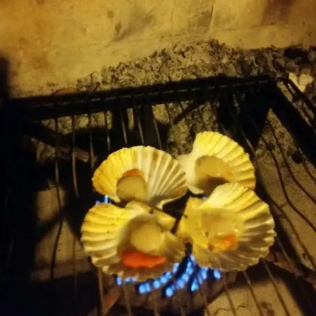Appartamento Zelena Oaza Novigrad Istria