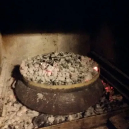 Zelena Oaza Novigrad Istria