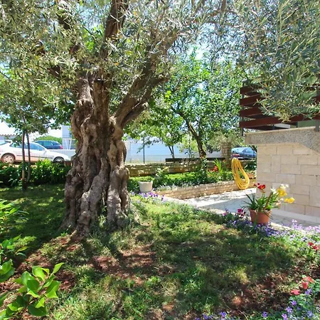 Zelena Oaza Apartment